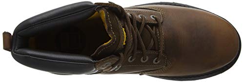 CAT Footwear Men's Holton SB Safety Boots