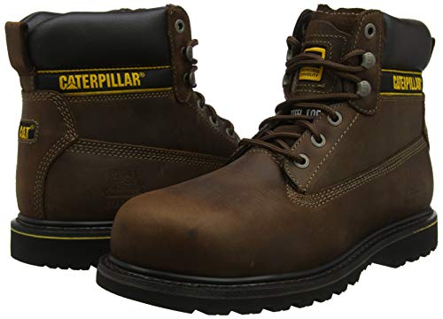 CAT Footwear Men's Holton SB Safety Boots