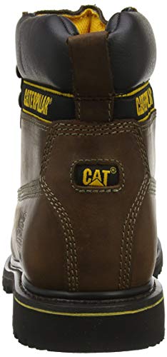 CAT Footwear Men's Holton SB Safety Boots