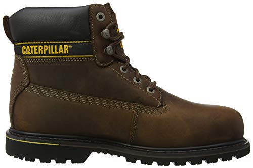 CAT Footwear Men's Holton SB Safety Boots